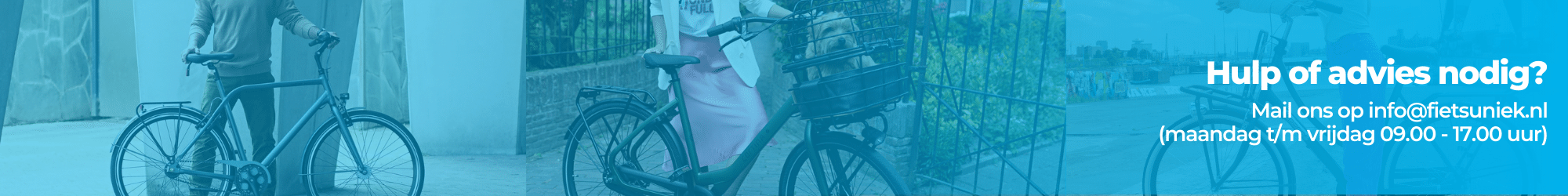 Elektrische Stadsfiets Elektrische Stadsfiets